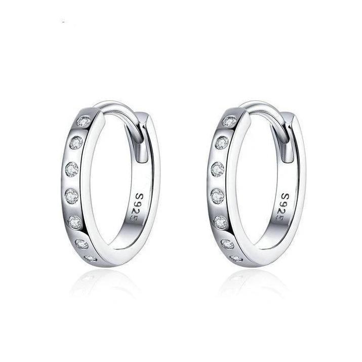 "Shiny Hoops" Earrings