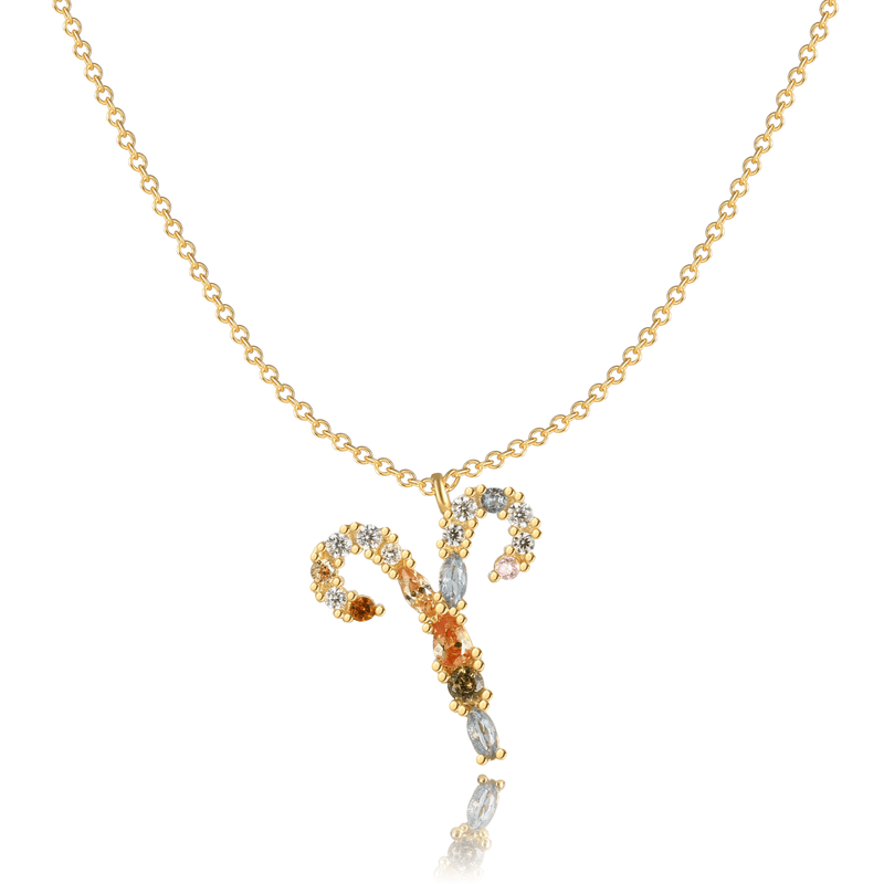 "Zodiac Signs" Necklace